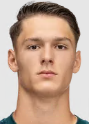 Hamzic S.